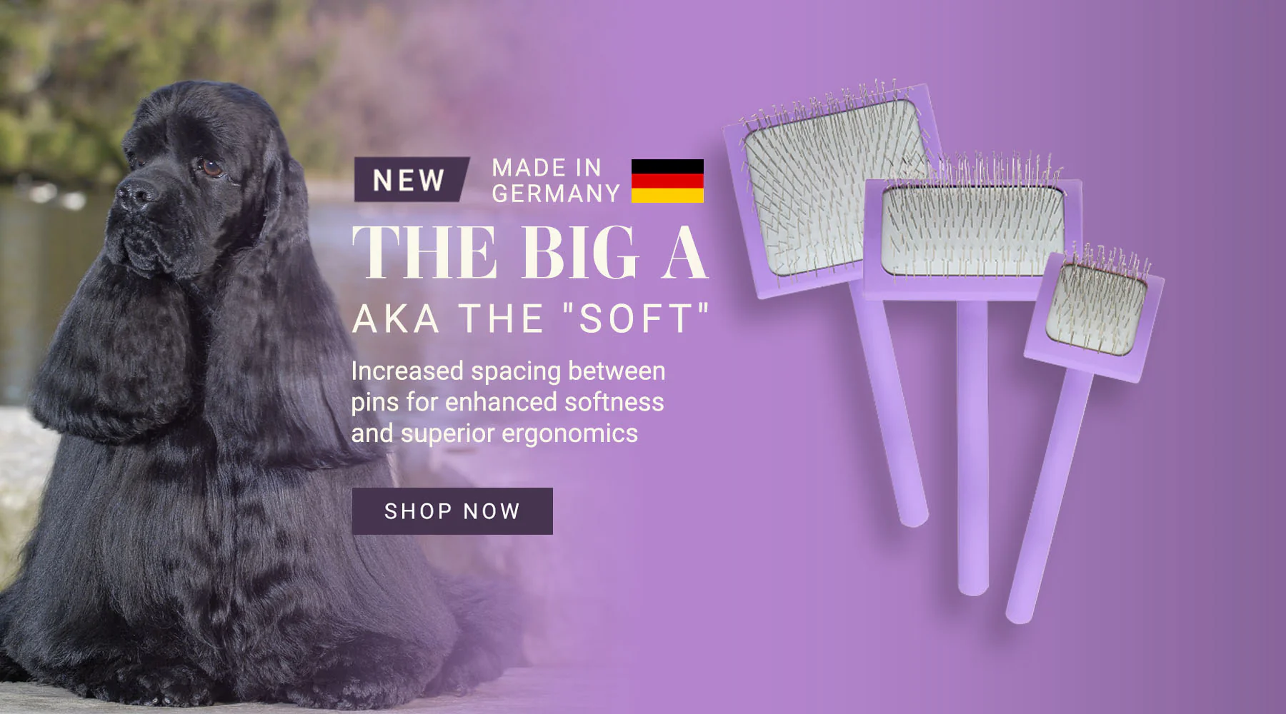 Master the Art of Grooming